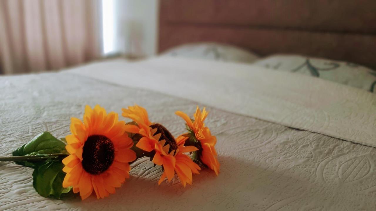 Sunshine Apartment Kragujevac Zewnętrze zdjęcie